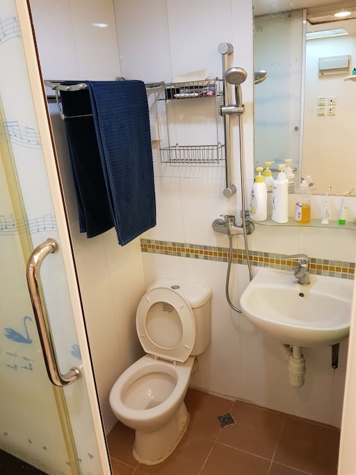 Bathroom - Shower - Toilet - Towels, shower gel and shampoo included