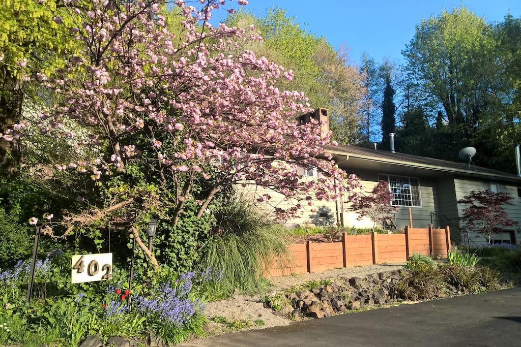 Rooms For Rent Kelso Wa Rooms For Rent Kelso Wa