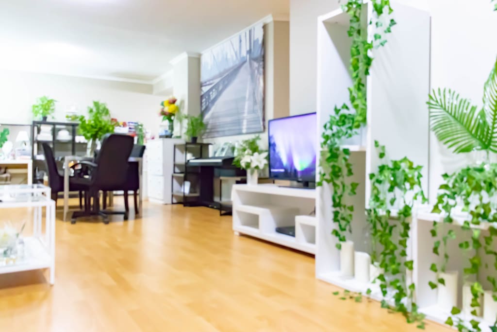 Lounge Room