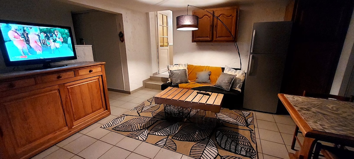 An inviting living space features a couch layered with several cushions, complemented by a rustic coffee table. A television is positioned against a wooden cabinet, while a stainless steel refrigerator stands nearby. Natural light enters through a door leading to the outside.