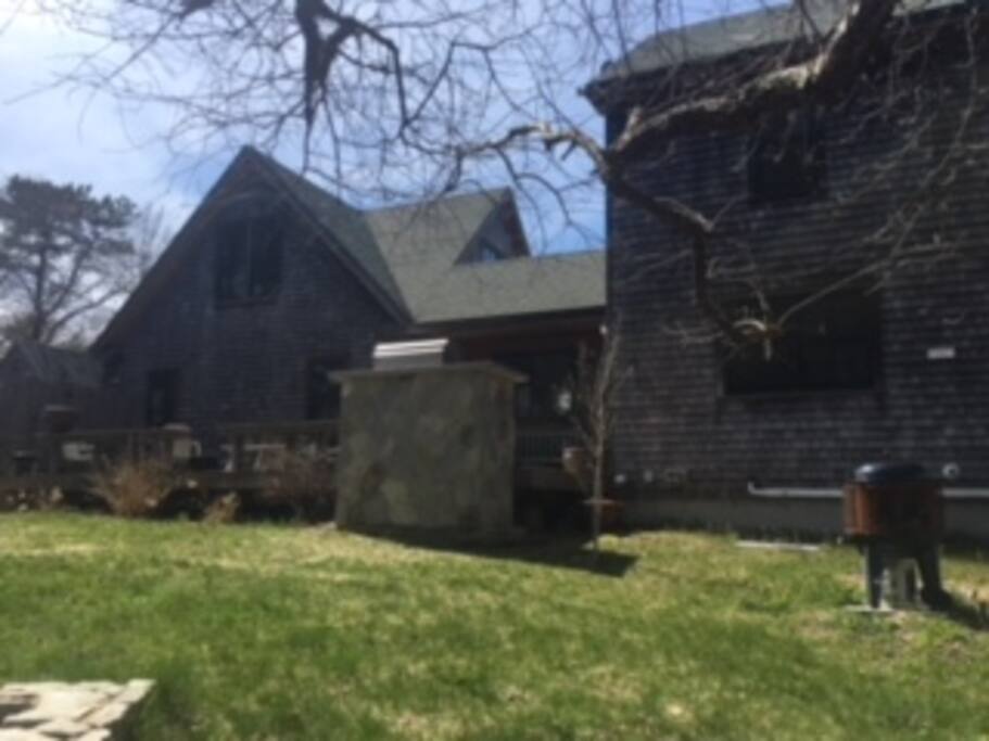 back yard