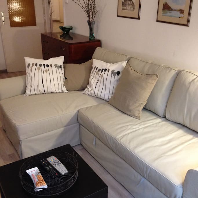 comfy pull out sofa