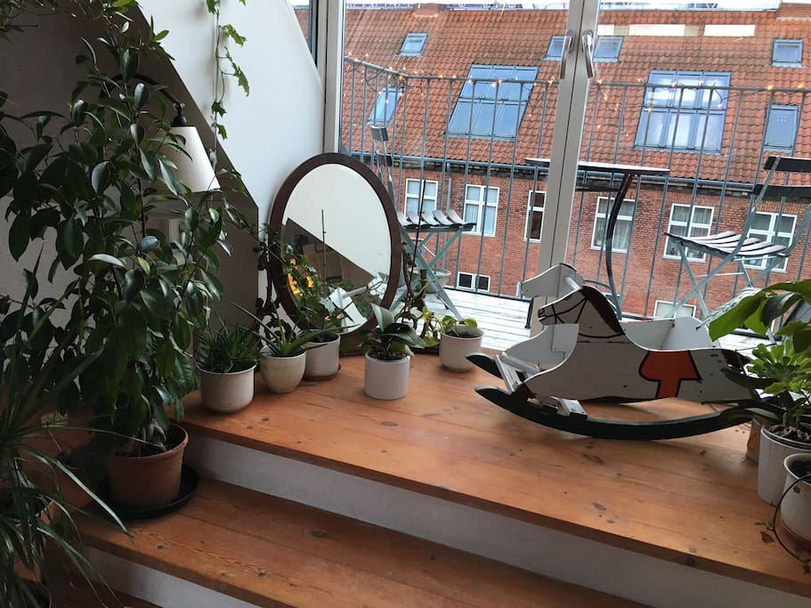 Fifth floor: our lovely plants :)