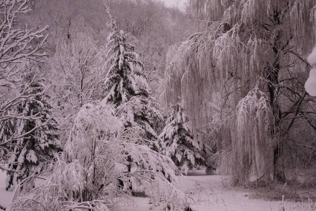 Winter in the Big Woods.