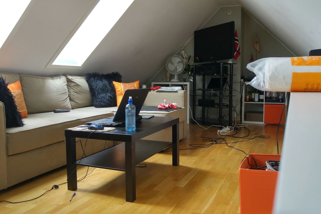 Living and sleeping area :)