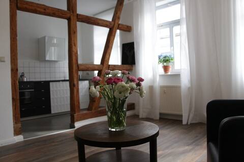 Ferienwohnung Erfurt 
