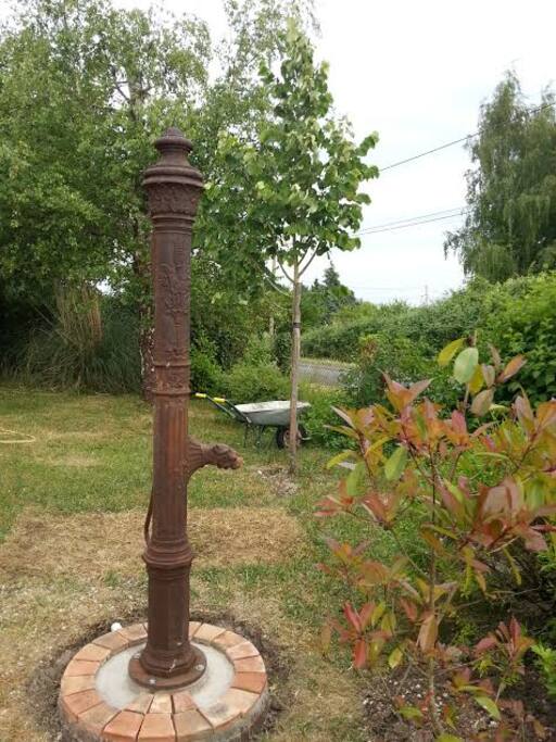 notre jardin devant la maison / Front garden