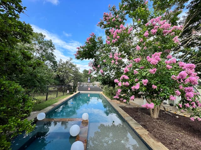 Austin Oasis Massive Pool, Spa, Goats and Chickens