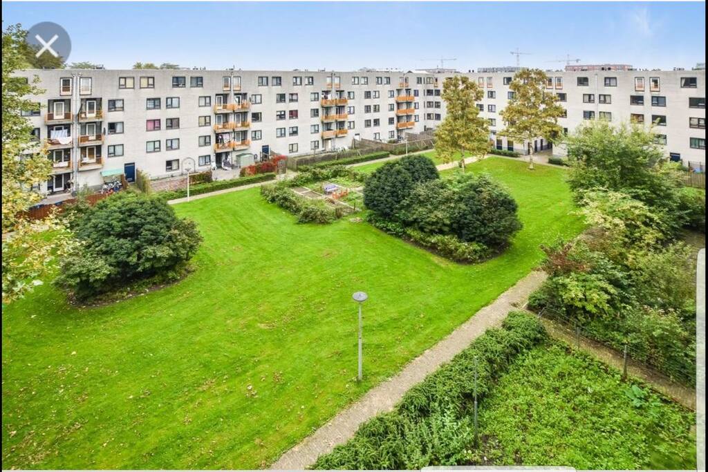 Big garden Infront of the apartment