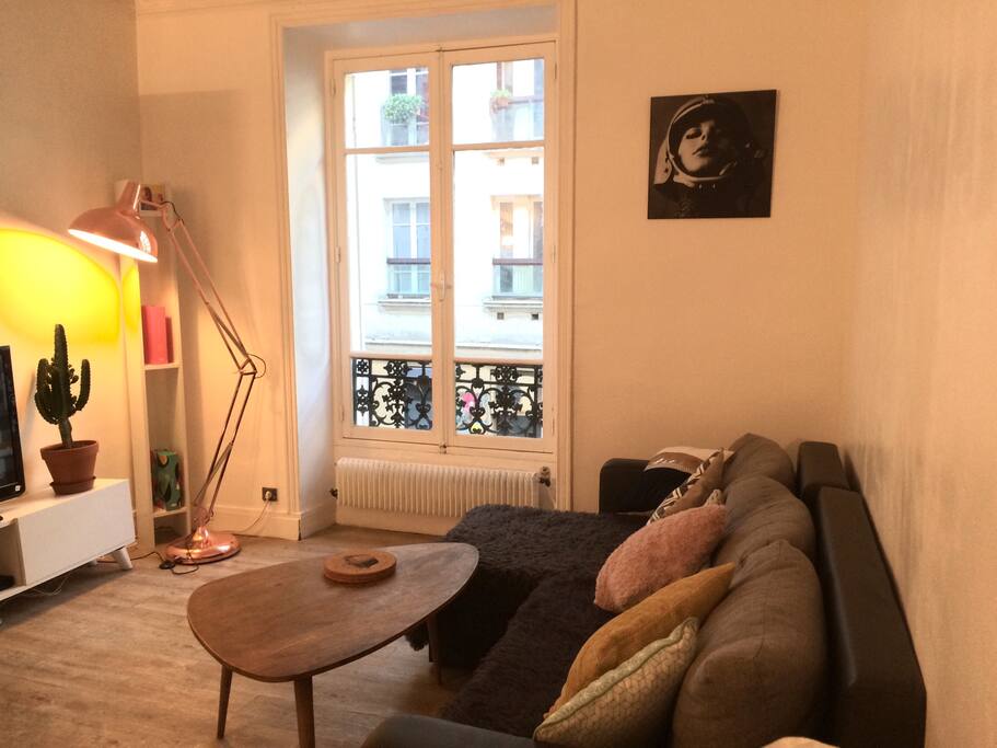 Beau salon décoration type scandinave avec canapé convertible en lit