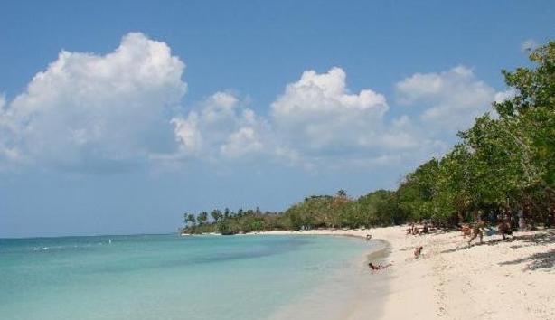 A serene beach scene features a gentle curve of soft, white sand meeting calm, clear waters. Lush greenery lines the shore, providing natural shade, while clouds drift lazily across the blue sky, creating a peaceful coastal atmosphere.