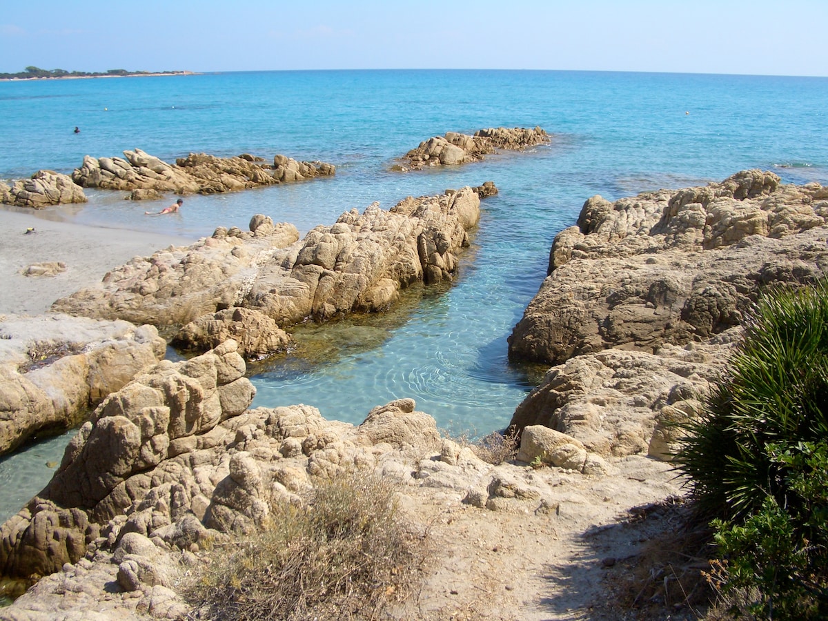 A rocky shoreline is seen leading into a clear blue sea, with gentle waves lapping against the stones. The beach features sandy areas alongside rugged rocks, and lush greenery is visible in the foreground, enhancing the coastal landscape.