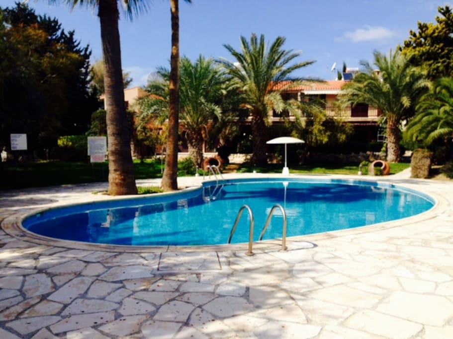 The poolarea is like a little green oasis