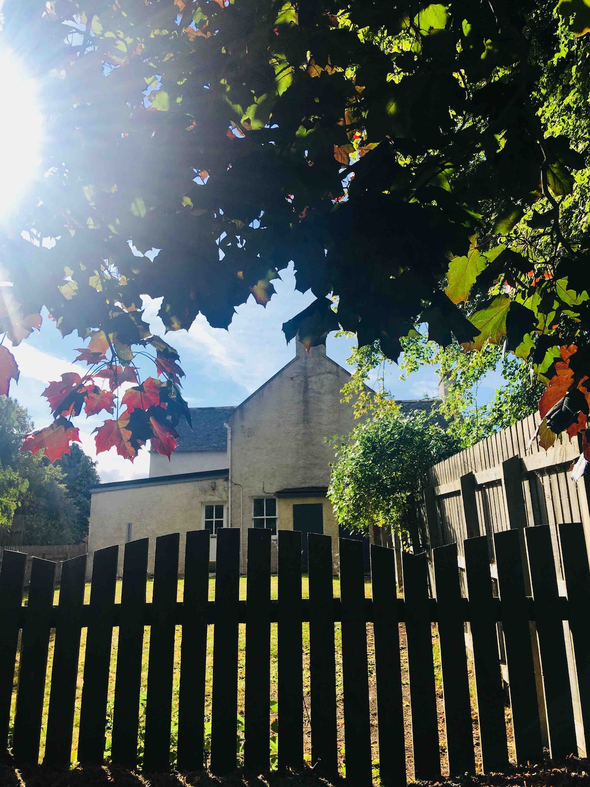 The image captures the exterior of the guesthouse, framed by vibrant tree leaves. The building's textured wall and windows are visible, hinting at a serene country setting. A shadowed wooden fence adds depth, while sunlight filters through, creating a natural ambiance.