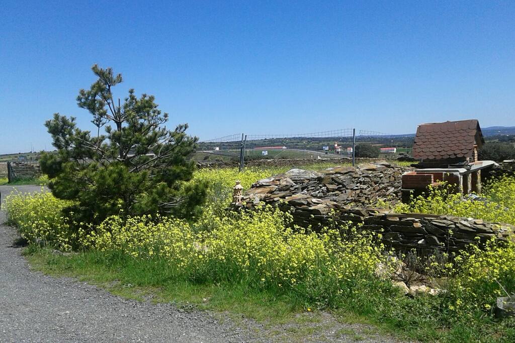 La primavera del 2017 alli en la finca de la Casa Rural