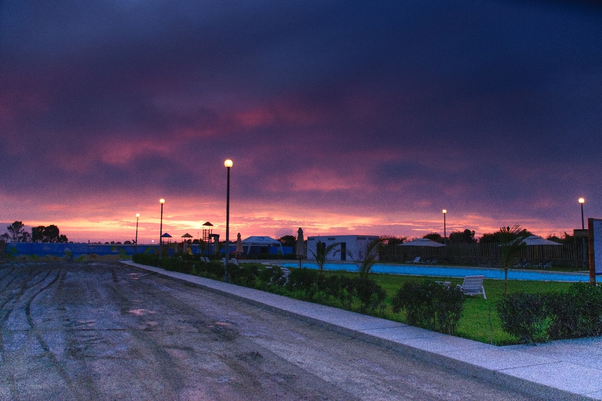 A serene outdoor area is depicted at sunset, featuring a curved path lined with palm trees and lampposts glowing softly. The sky transitions through shades of purple and orange, while distant structures provide a sense of location amidst the tranquil atmosphere.