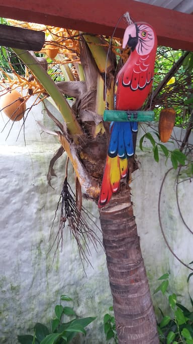 Jardin refrescante