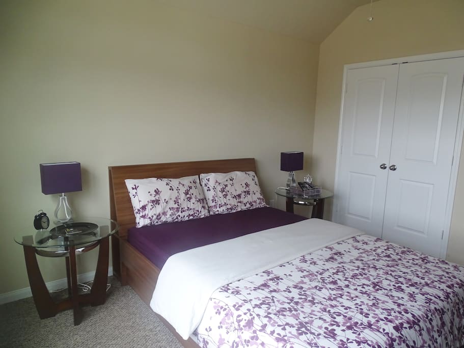 View 2 of the guest bedroom with closet