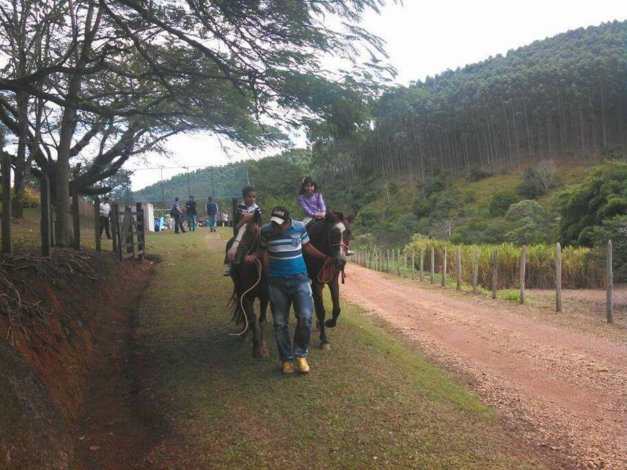 passeio de cavalo monitorado