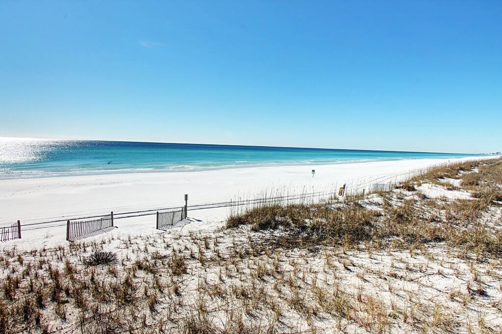 Gorgeous Beach!