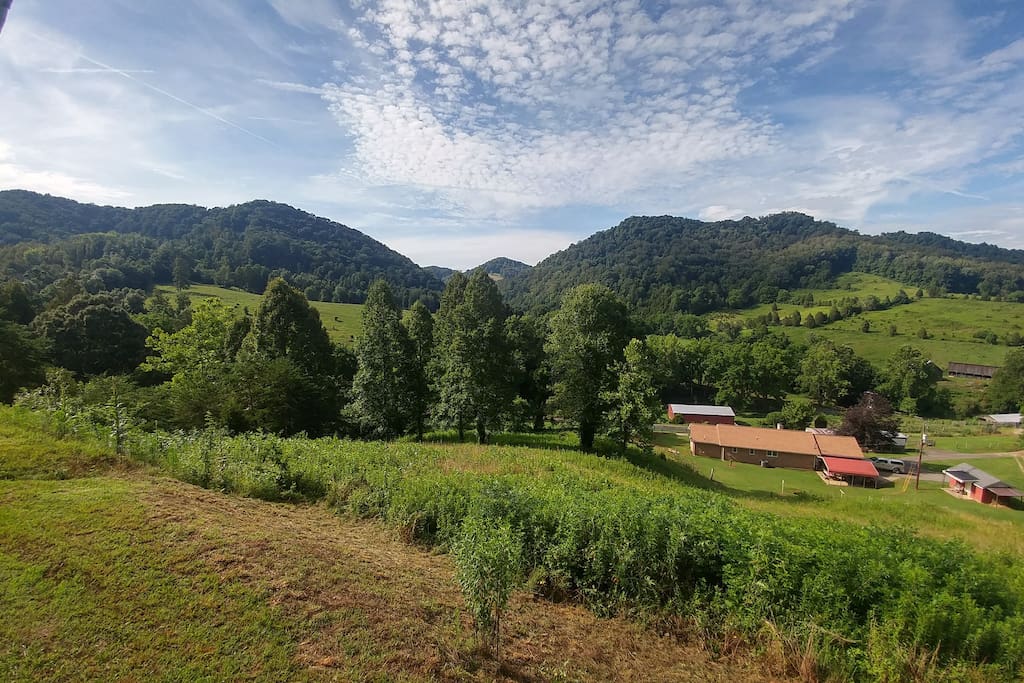 Another Summer View from Front Porch