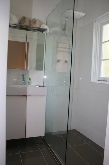 Modern bathroom with walk in shower