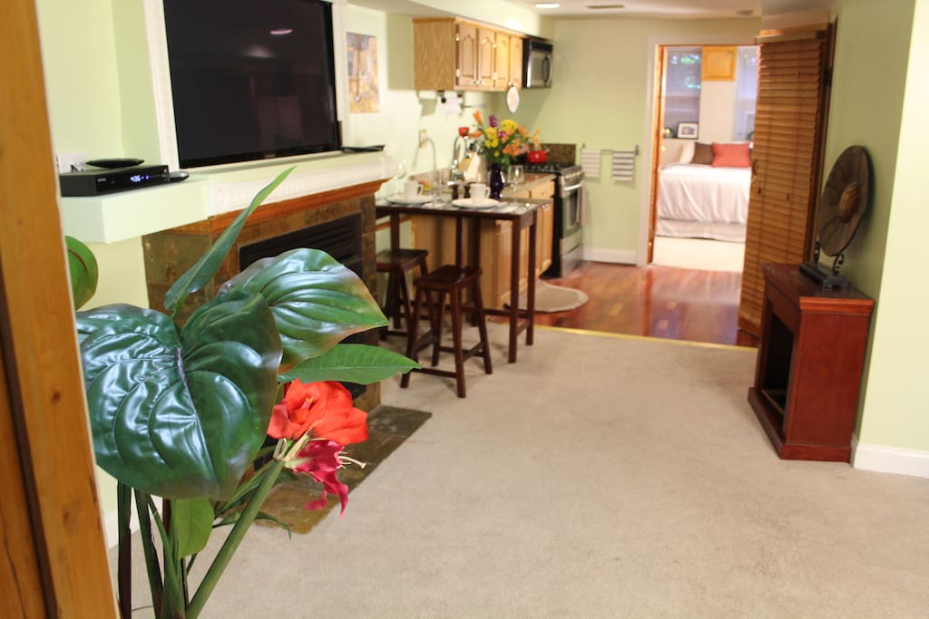 Standing in the Living Room Built-in Plasma TV and Fireplace on the Left