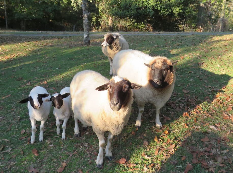 and his friends