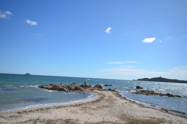 Download Condo 4 chambres sur la plage de myrte Free