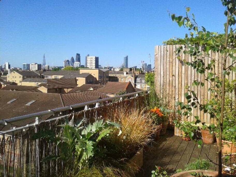 view from terrace