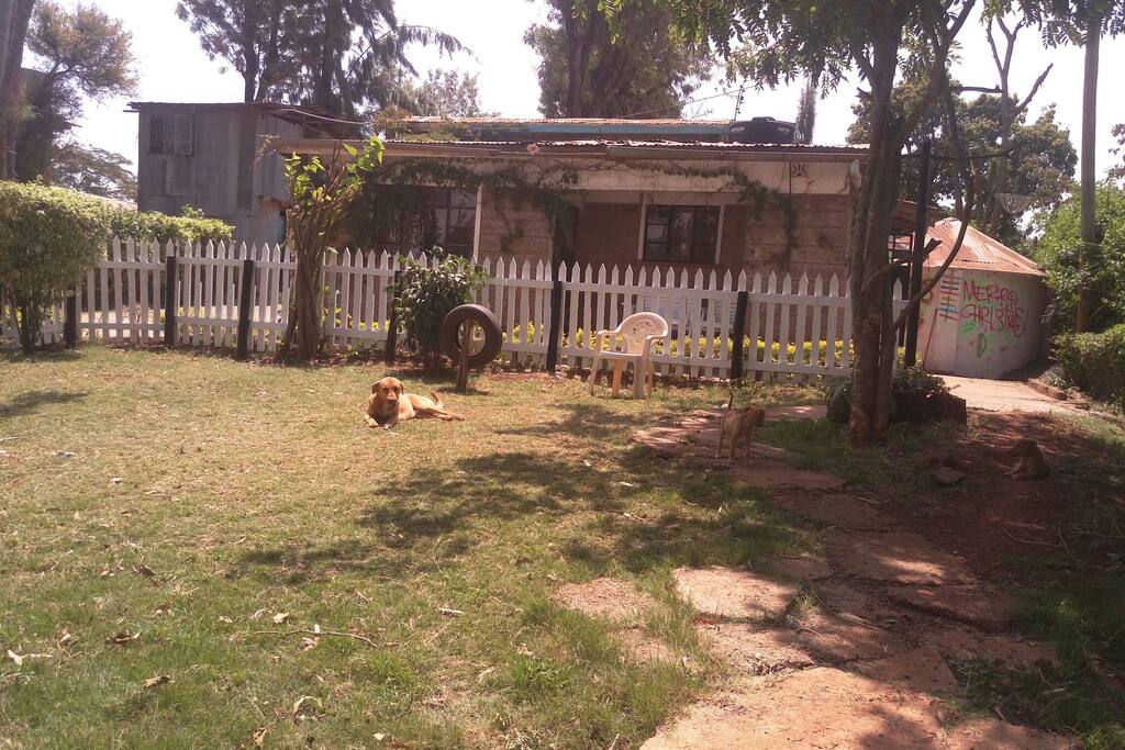 Front view of house and water tank from the lawn