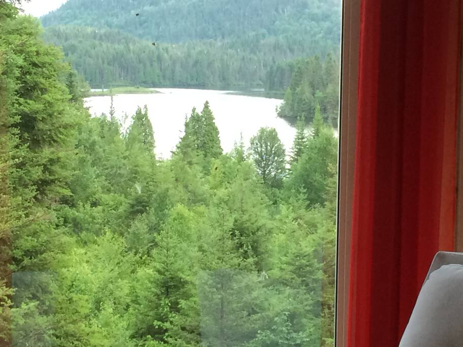 Vue sur le lac
