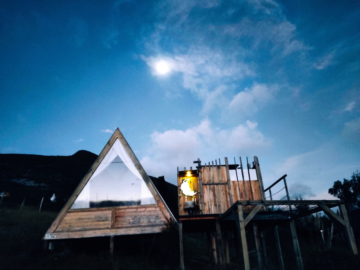 An angular wooden structure is set against a twilight sky, reflecting soft moonlight. The façade features large glass panels, allowing for a view of the surroundings. Nearby, wooden elements create a rustic appeal, enhancing the natural landscape in the backdrop.