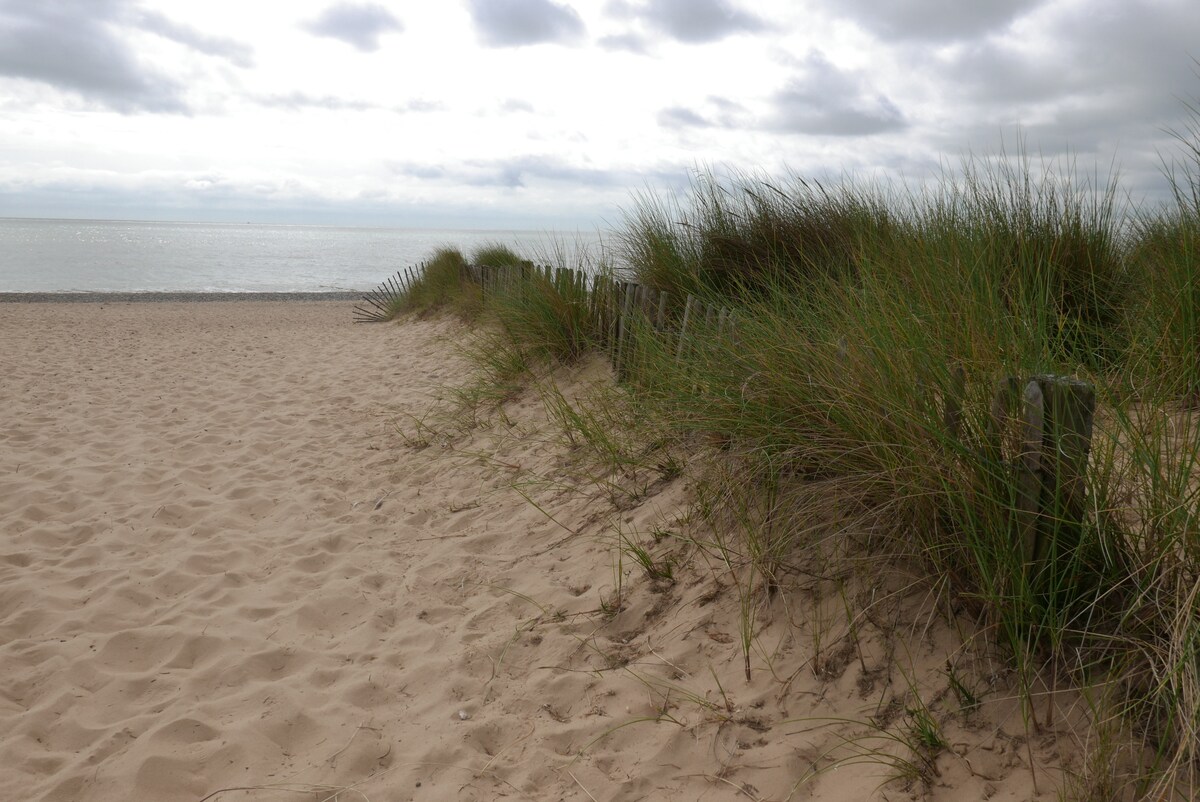 A sandy beach is framed by tall green grasses and wooden posts, leading to the calm waters of the sea. The sky is overcast, contributing to a serene and tranquil atmosphere.