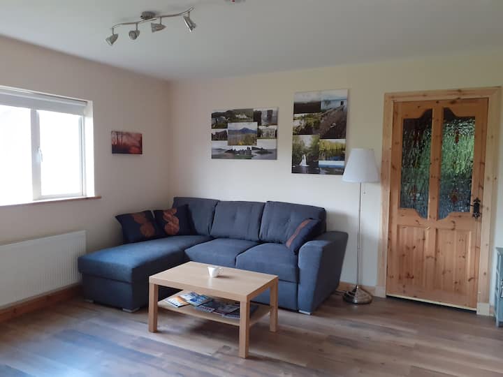 Our brand new sofa bed. Very comfortable. 