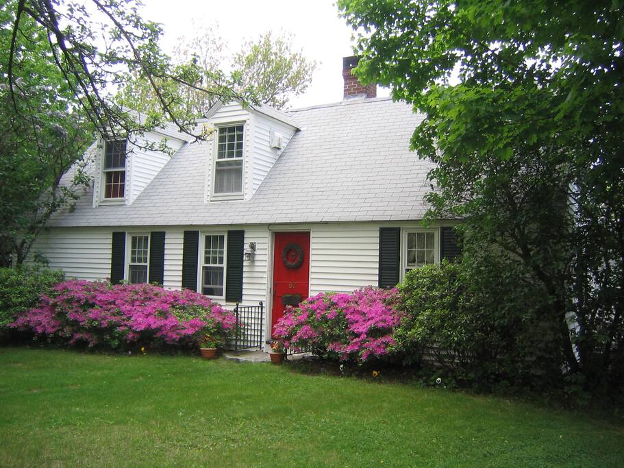 Summer at the BnB