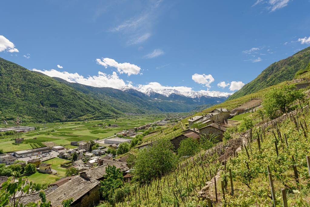 Vista dei terrazzamenti