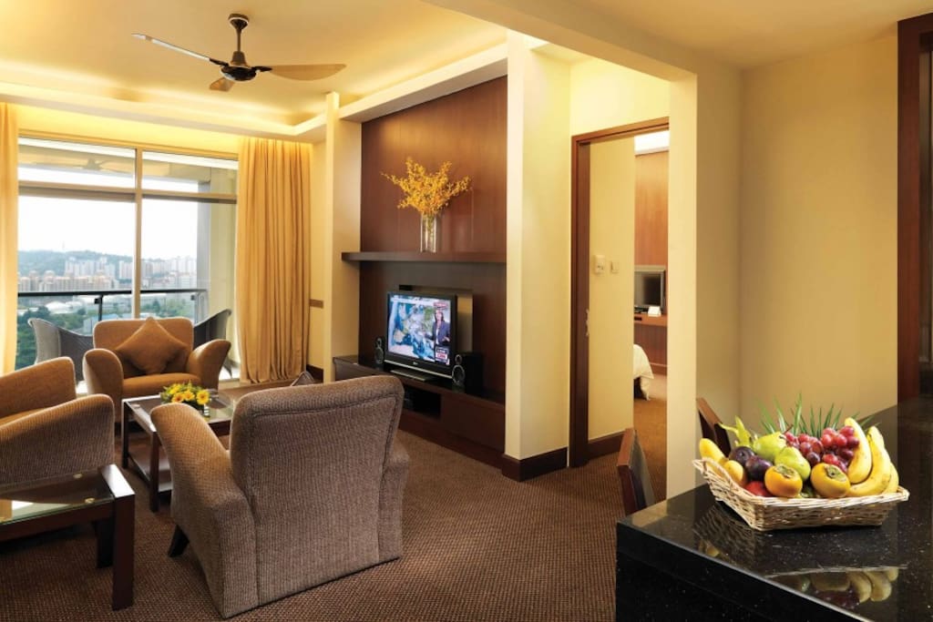 Clean, Organized and Homely Living Room with City Balcony View