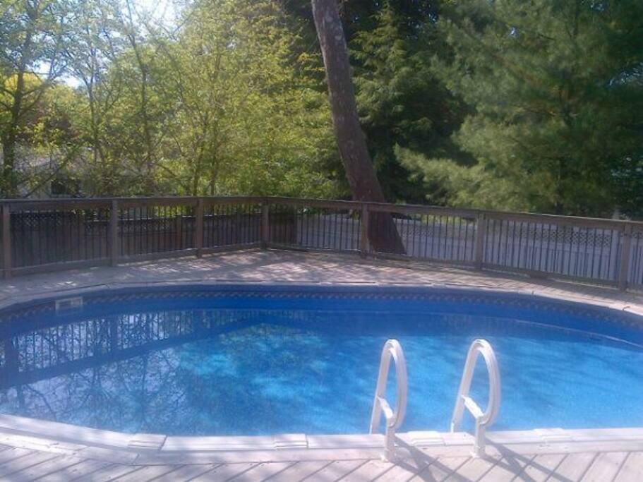Poolside-shallow one level, heated above ground pool for guests to use.
