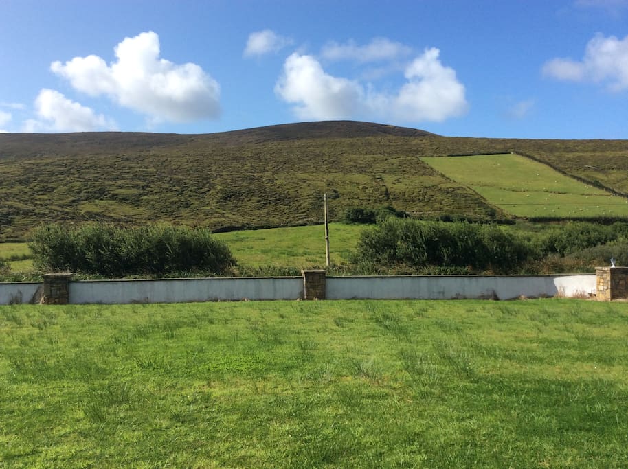 Views of the Irish countryside.
