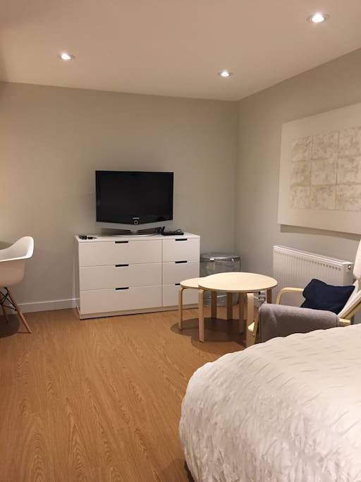 Bedroom/Lounge with TV