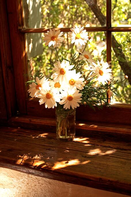 Bedroom window