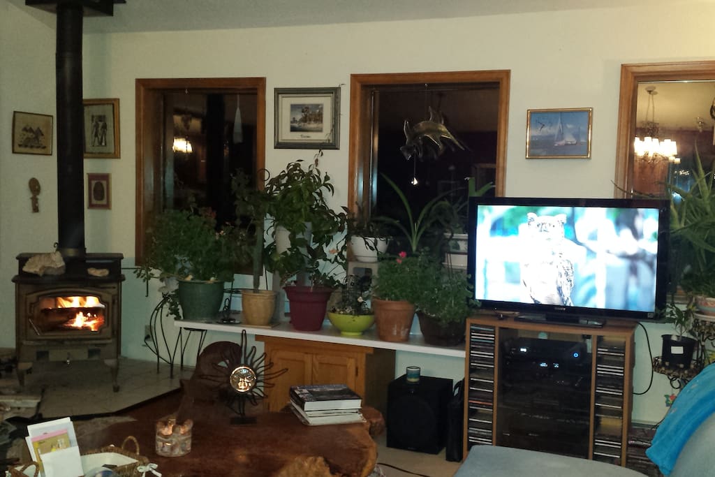 55' Sony Smart TV Wood Stove House Plants