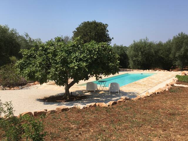 Trulli with pool in Monopoli for 5 guests gallery image 5