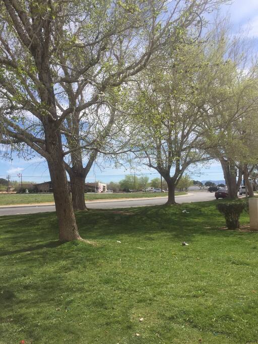 View from front door