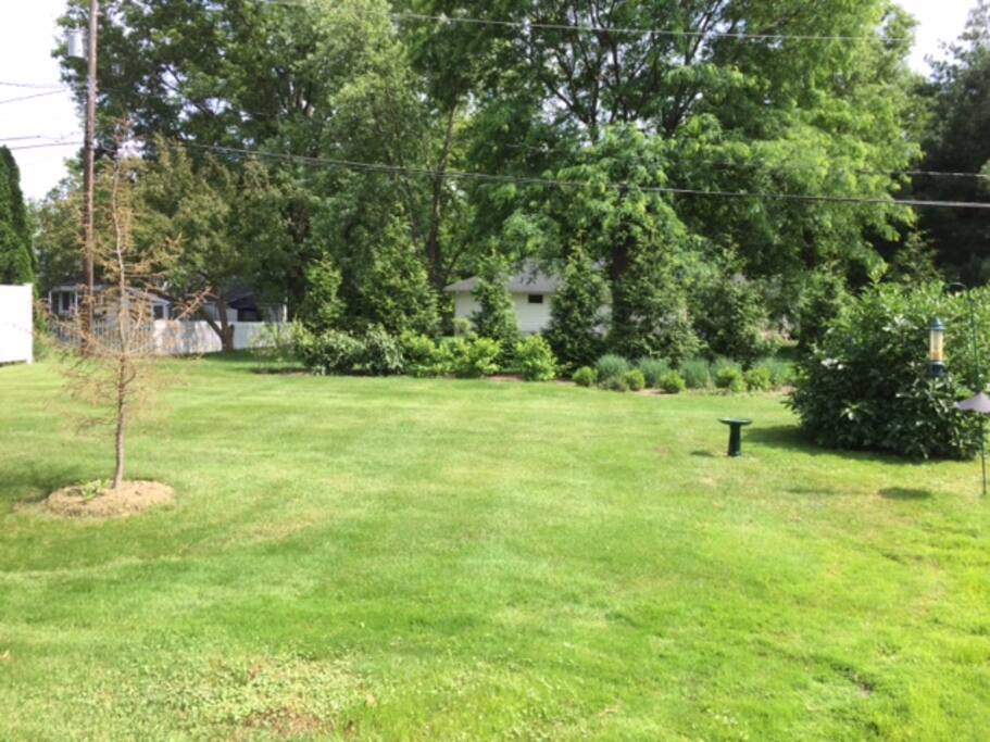 BACK YARD