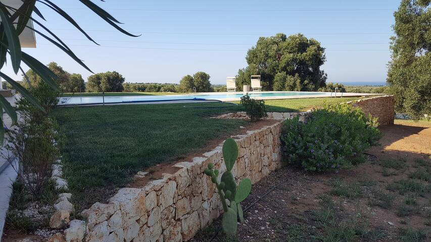 casa dei venti ( house of winds) gallery image 5