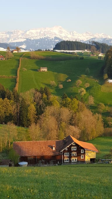 Frühling