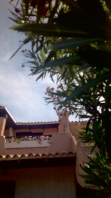 Terrazza.
