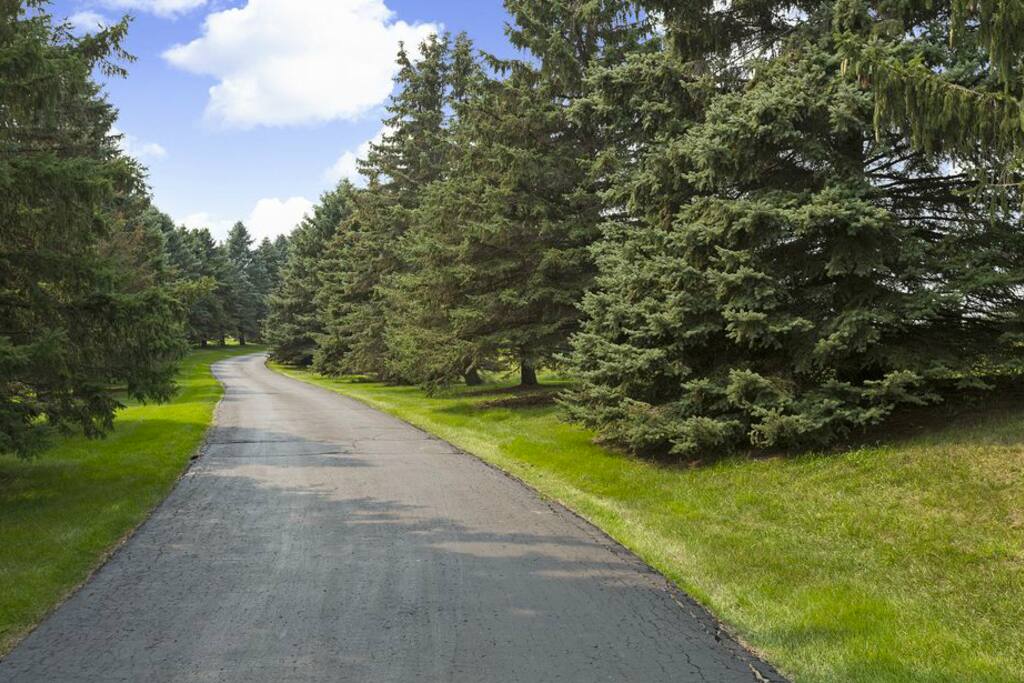 Spruce-line drive welcomes guests to 'Spruce Hill'.